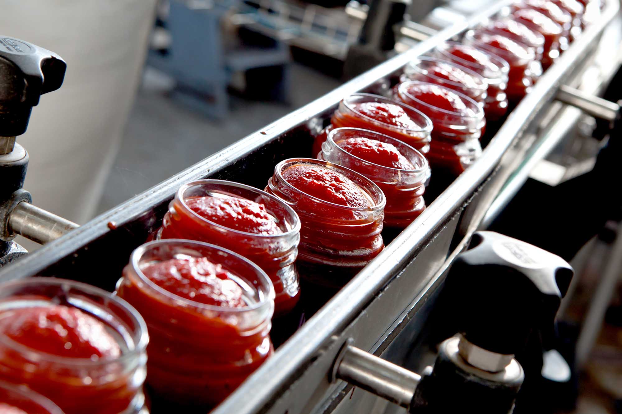 Electronic Balances L