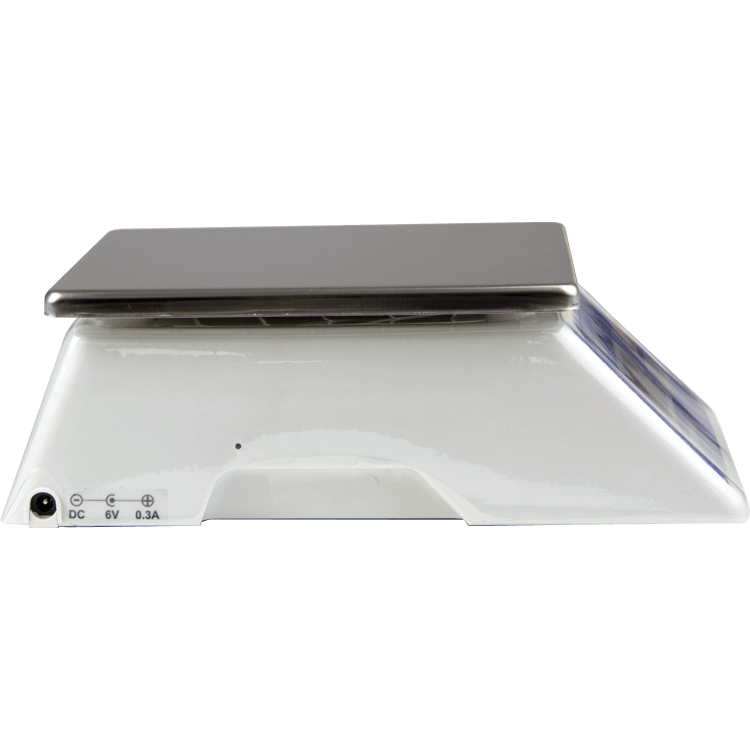 WS201 Bench Scale Side Angle