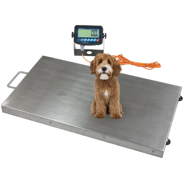 WS208 Vet General Purpose Scales Indicator Dog On Scale