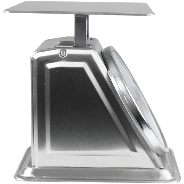 WS410 Dial Scale Side View