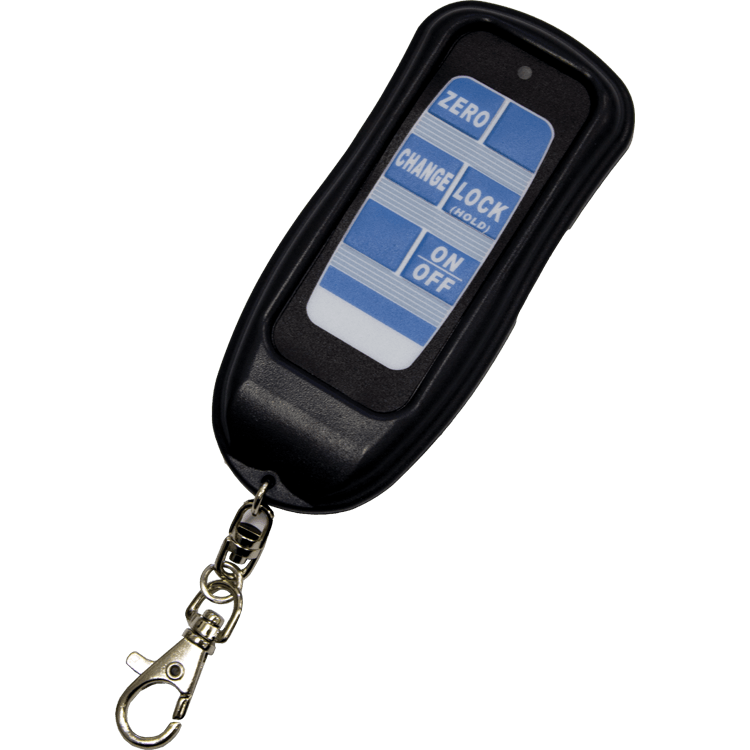ws601 digital crane scale-remote